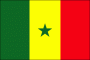 Senegal Nylon Flag