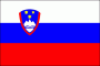 Slovenia Nylon Flag